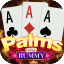 rummy slots all